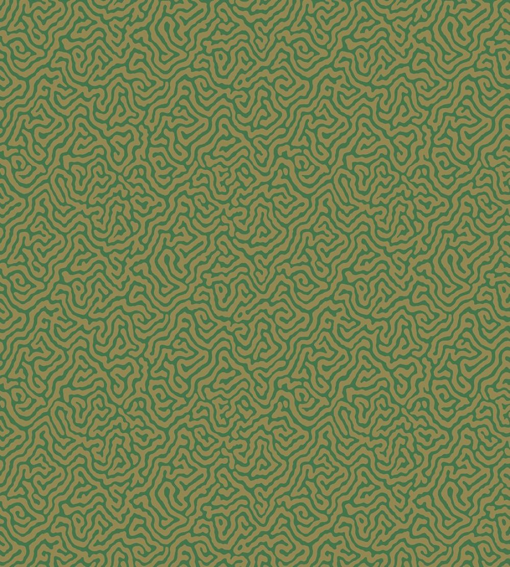 Vermicelli Wallpaper by Cole & Son 4022