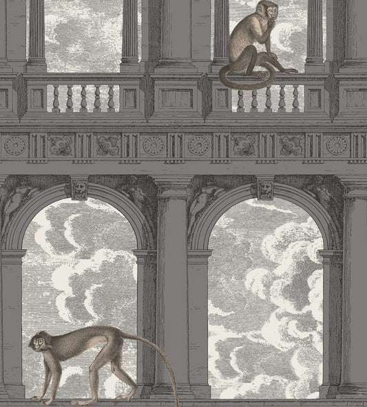 Procuratie Con Vista Wallpaper by Cole & Son Soot & Snow