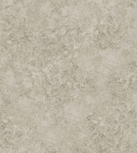Patina Haze Wallpaper by Cole & Son Warm Gilver