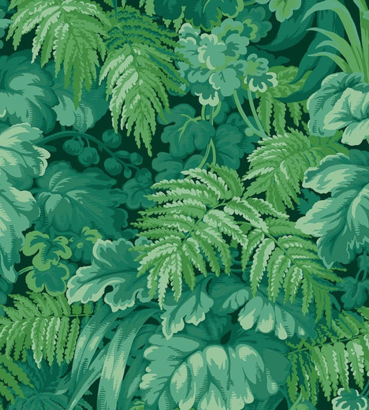 Royal Fernery Wallpaper by Cole & Son Forest Green