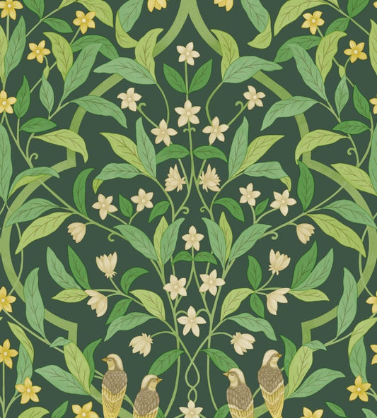 Jasmine And Serin Symphony Wallpaper by Cole & Son 10029