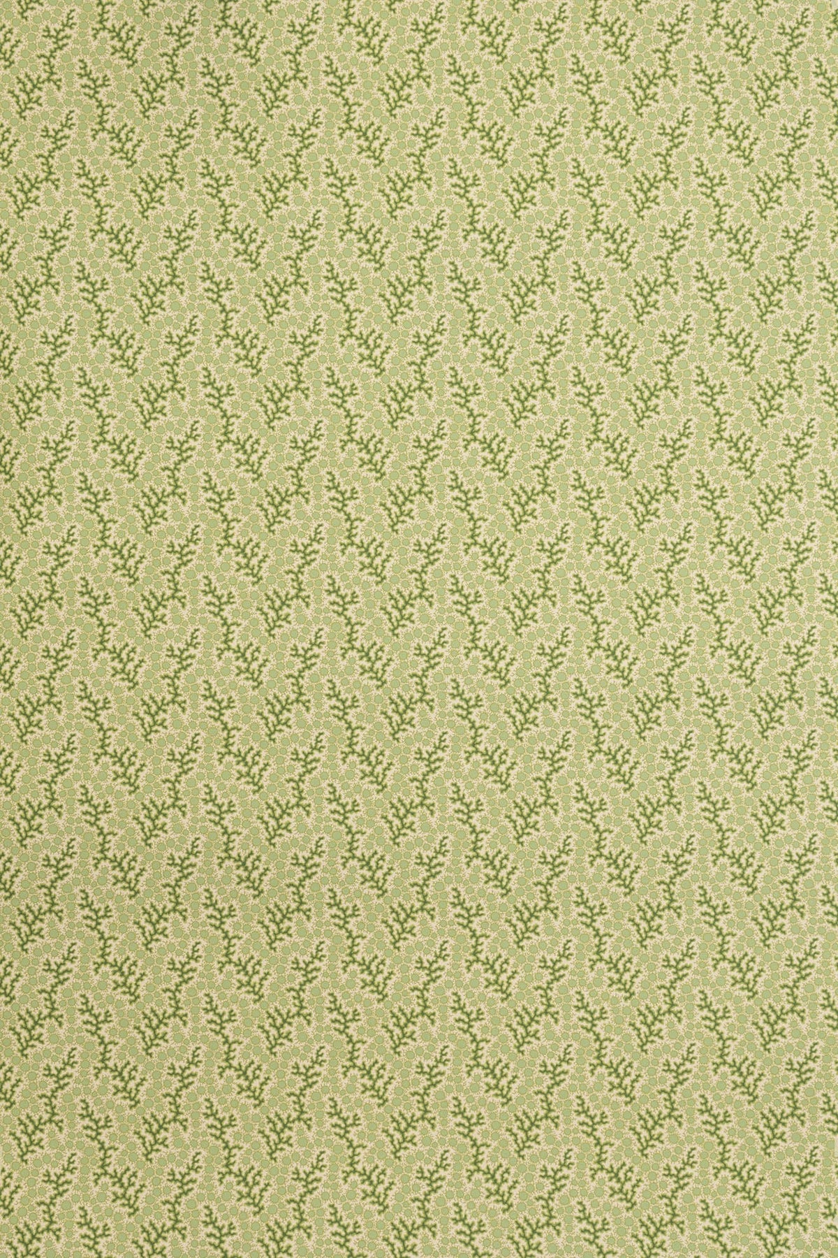 Coralie Wallpaper by Jean Monro in Grass