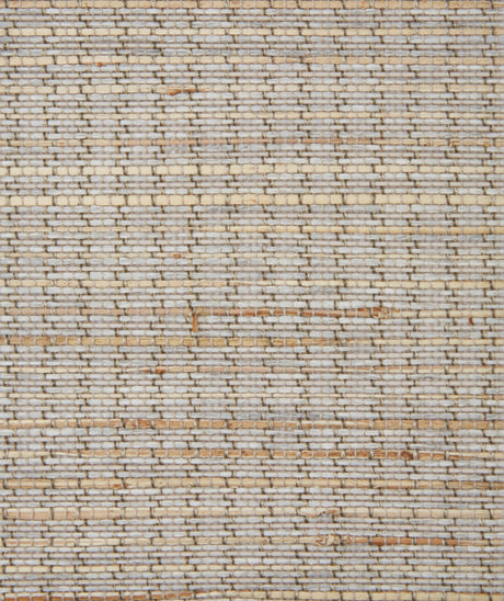 Coronado Bon Aire natural woven shade swatch in Beach, Pinnacle BJ2508