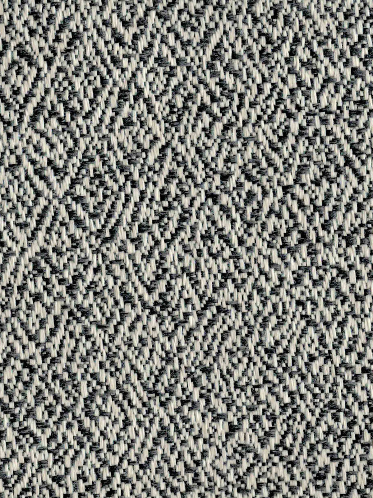 Chunkey Monkey Fabric by Holland & Sherry in Coal