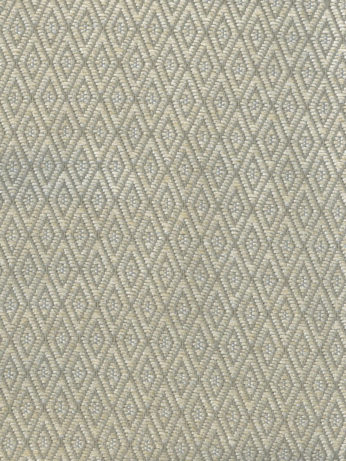 Papillon Fabric by Holland & Sherry in Ash