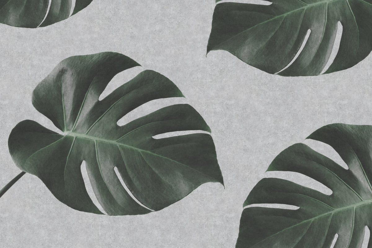 Eco Gray mural by Hovia