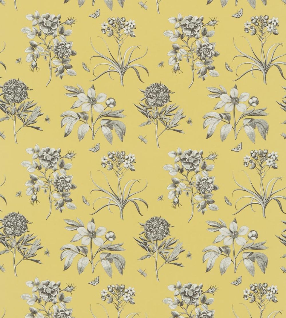 Etchings & Roses Fabric by Sanderson Empire Yellow