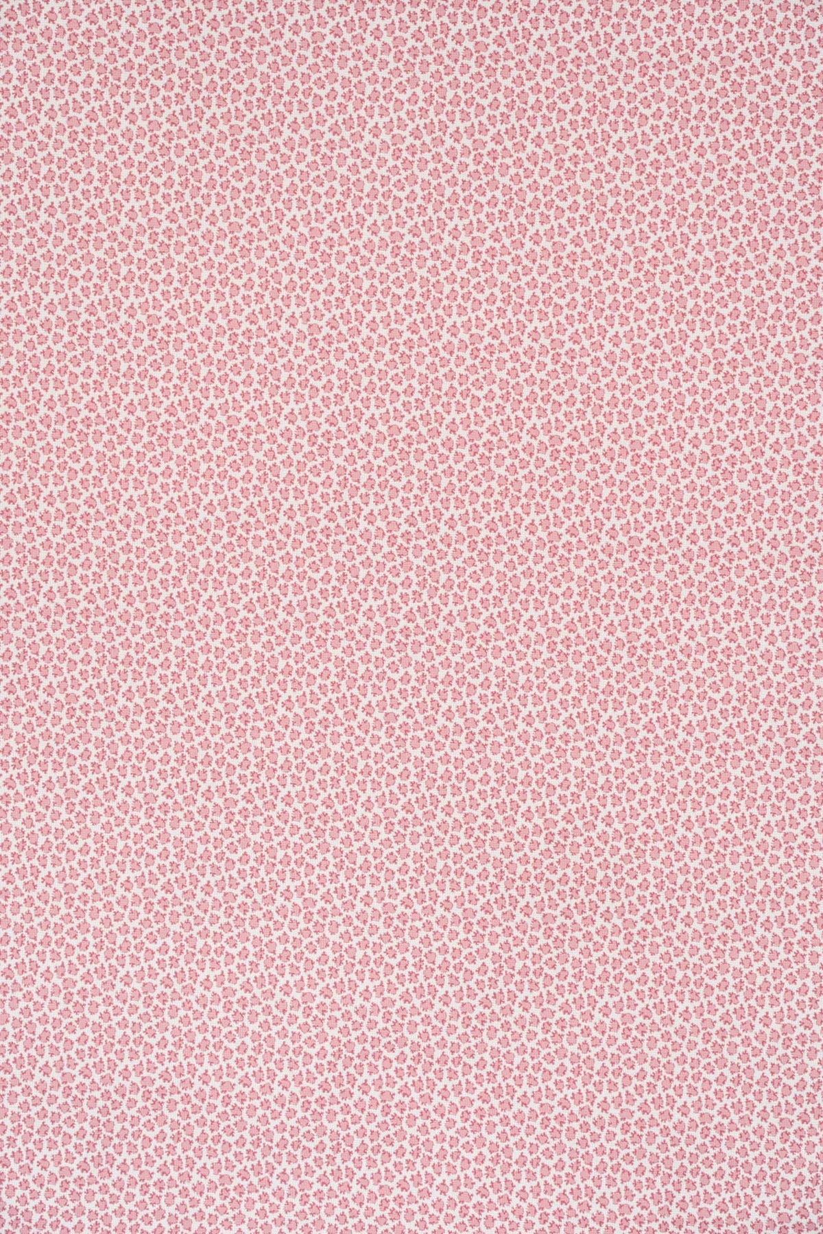 Eton Fabric by Jean Monro in Blush