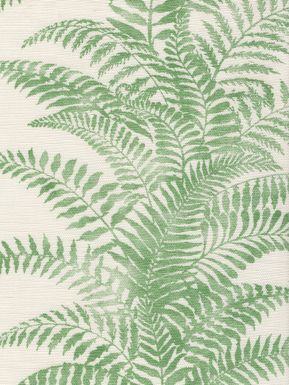 Fern Cliff Leaf Green on Almost White wallpaper by Quadrille