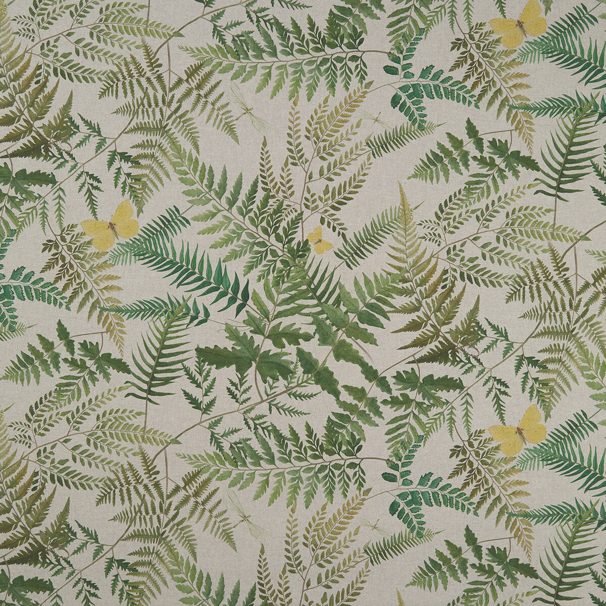 Fern Glade Linen fabric by Clarke & Clarke