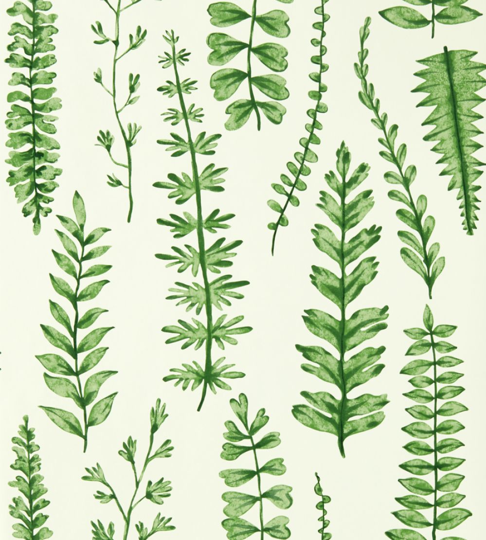Ferns Wallpaper by Scion Juniper