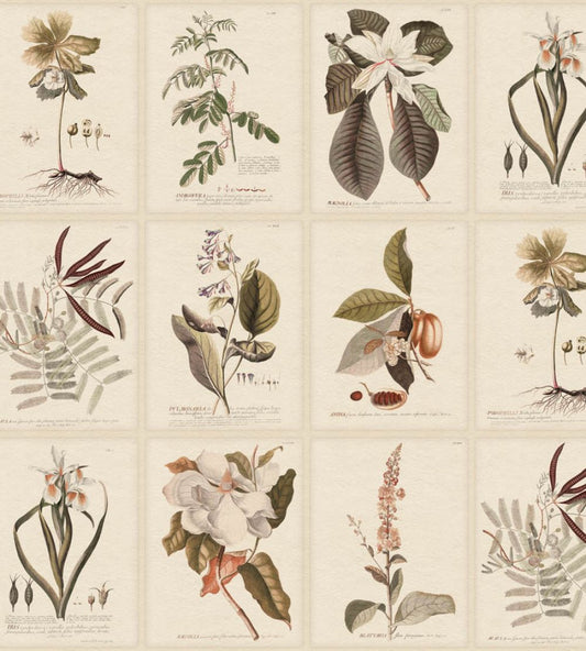Flora Wallpaper by Sandberg Sepia