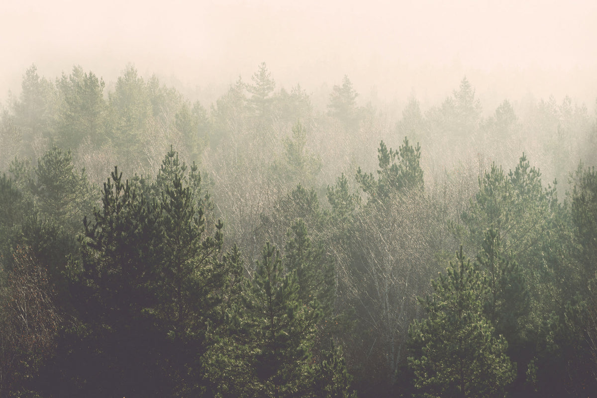 Gauja Green mural by Hovia