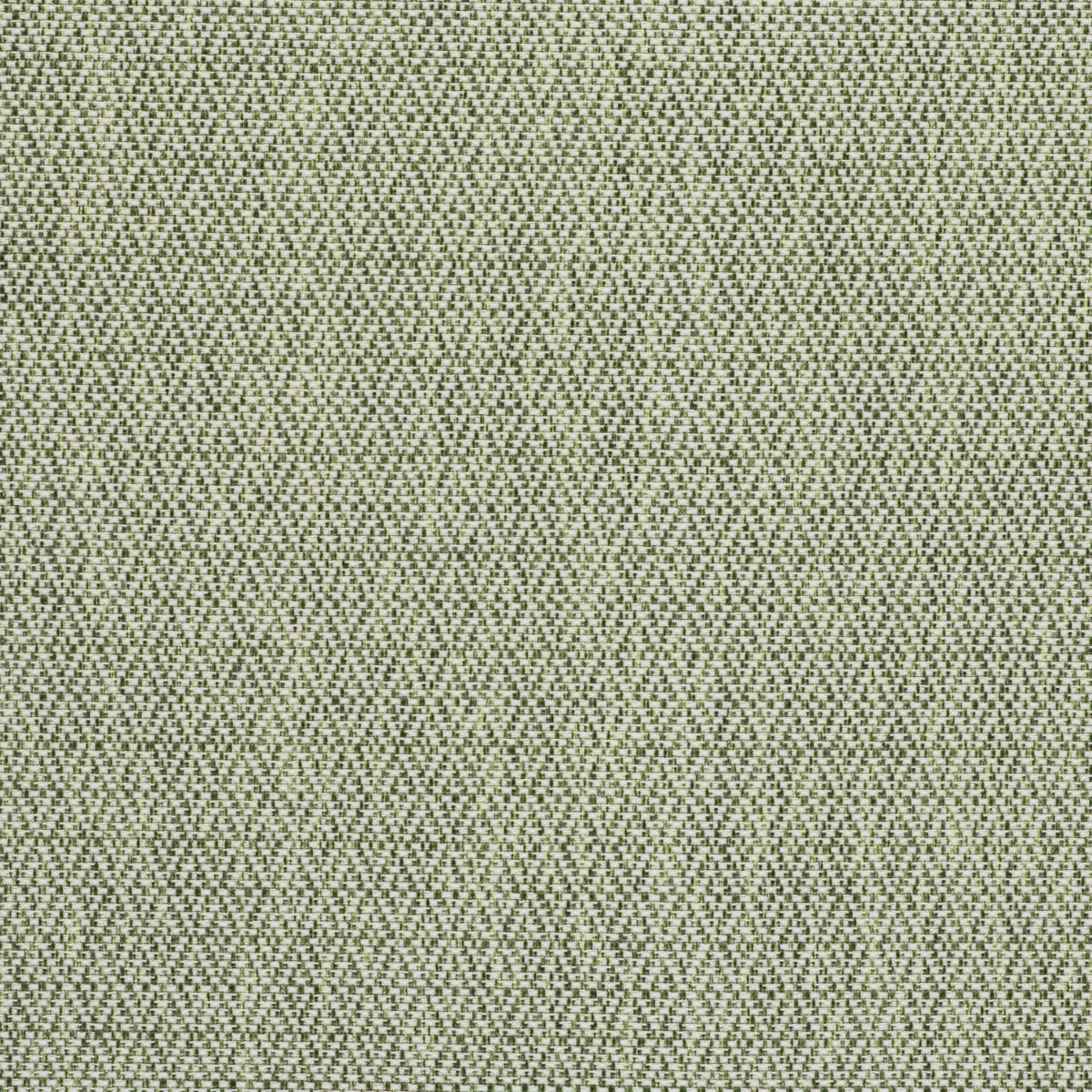 Rombos Fabric by Gaston y Daniela in Verde