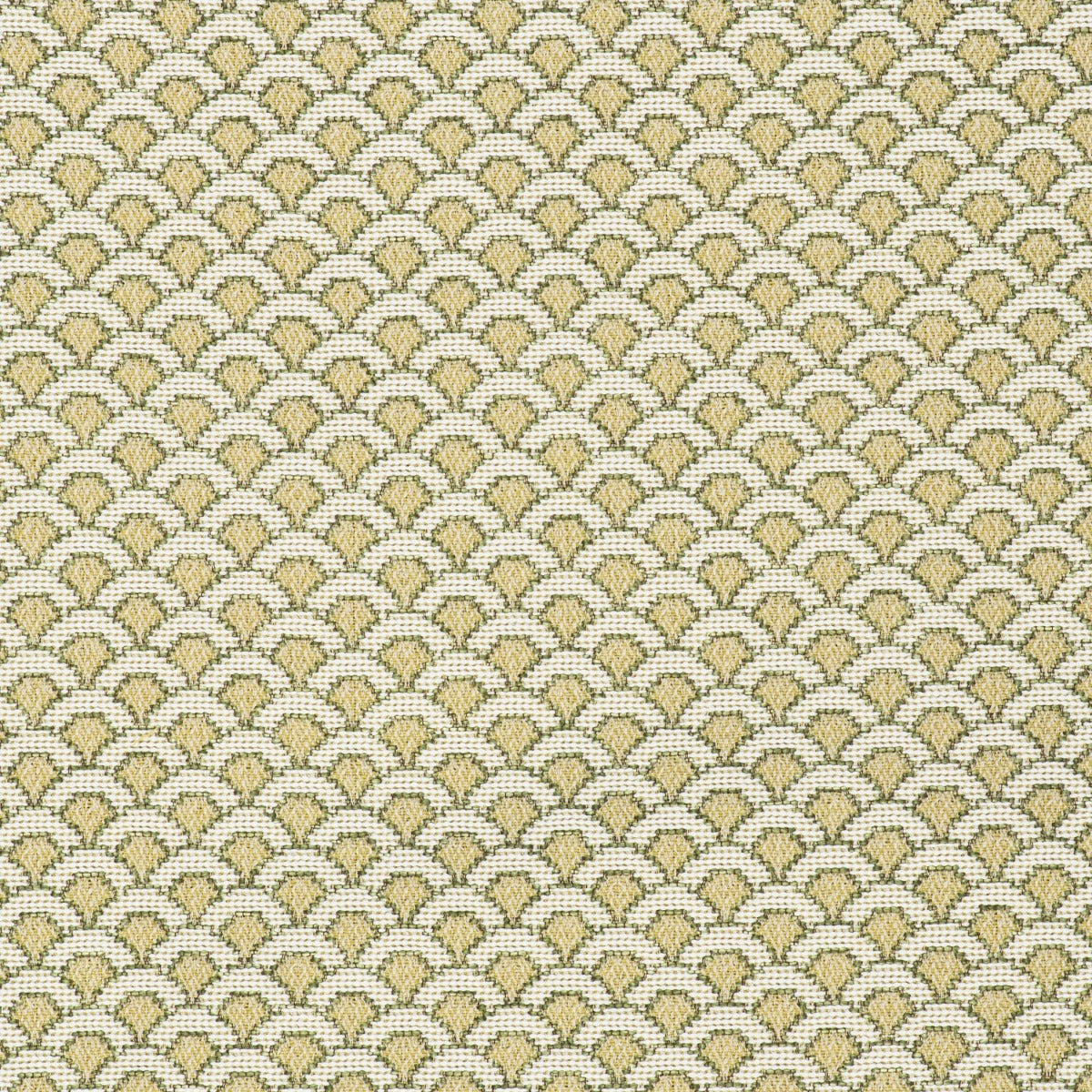 Ondas Fabric by Gaston y Daniela in Verde