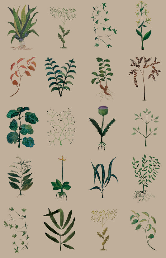 Herbarium Kraft mural by Bien Fait