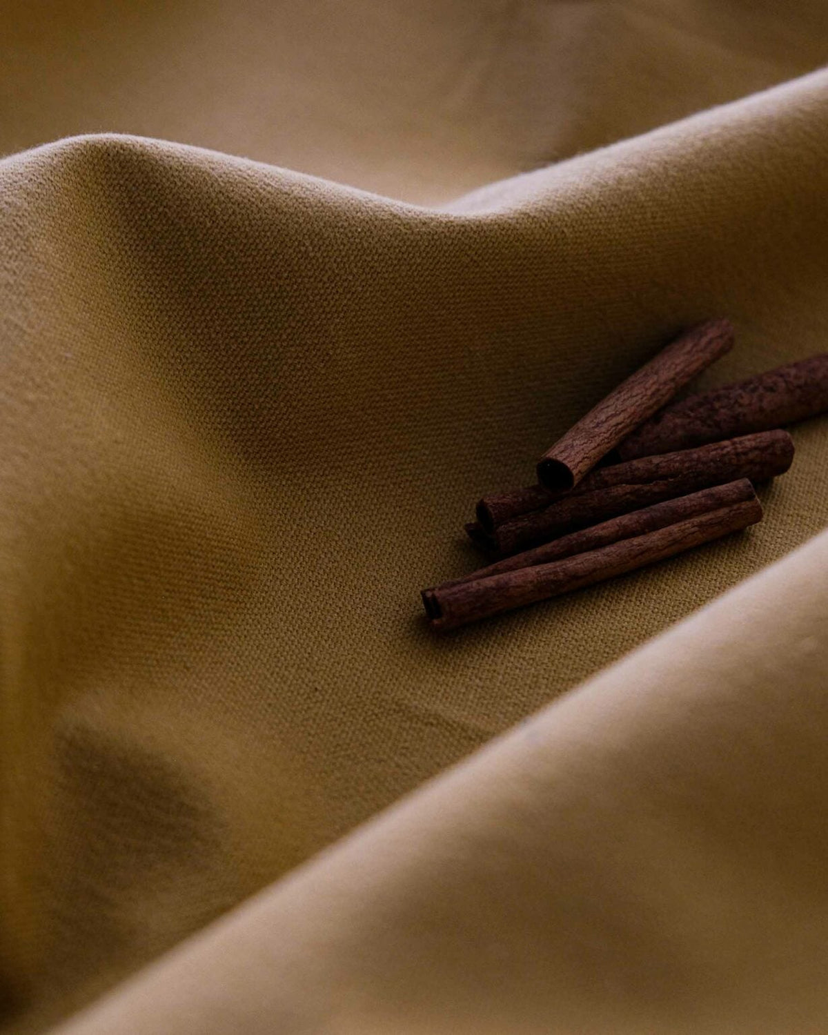 Honey 511 fabric by Coordonné in No. TCOTHON, shown in a styled room