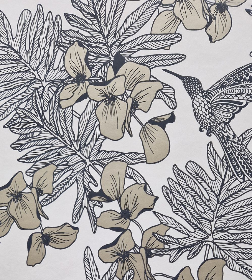 Hummingbird Wallpaper by 1838 Wallcoverings Jet