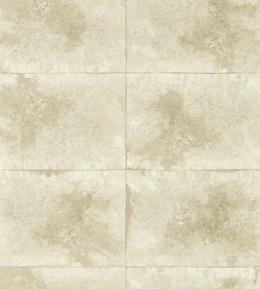 Igneous Wallpaper by Clarke & Clarke Champagne