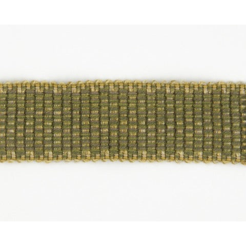 Walling Braid Trim by Gainsborough in Willow