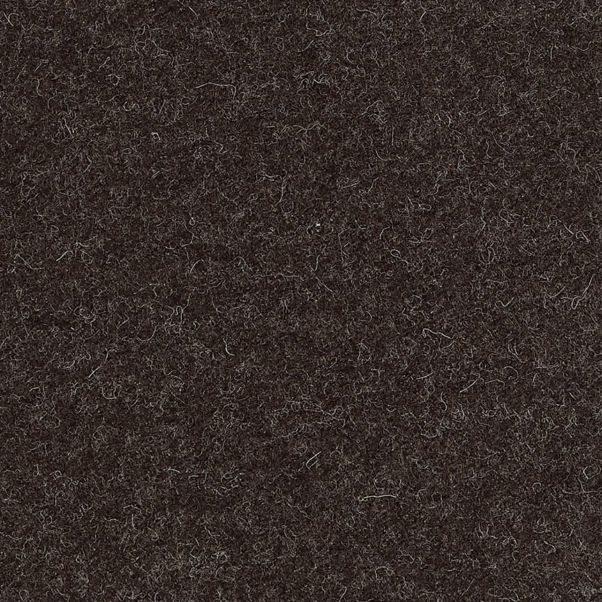 Intimo Fabric by Coraggio in Espresso (U98082)