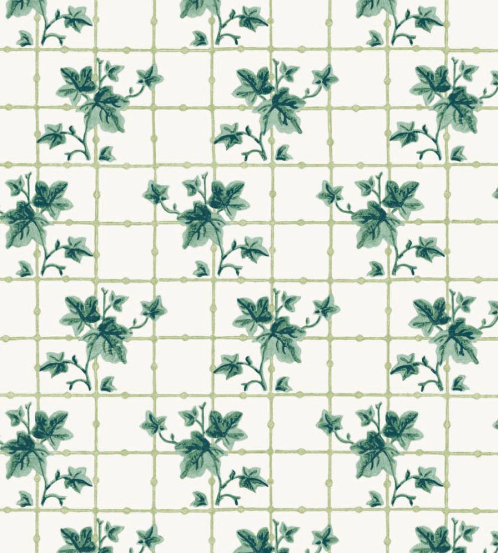 Ivy Trellis Wallpaper by DADO 02 Evergreen