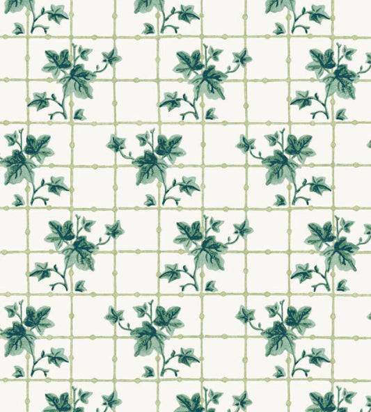 Ivy Trellis Wallpaper by DADO 02 Evergreen