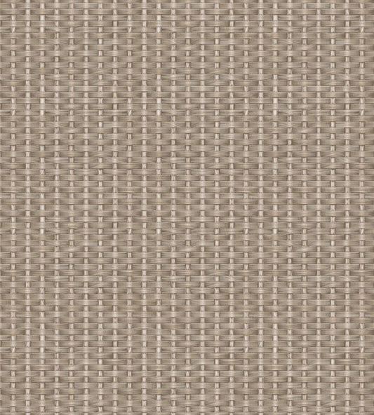 Kuba Wallpaper by Coordonne Nude