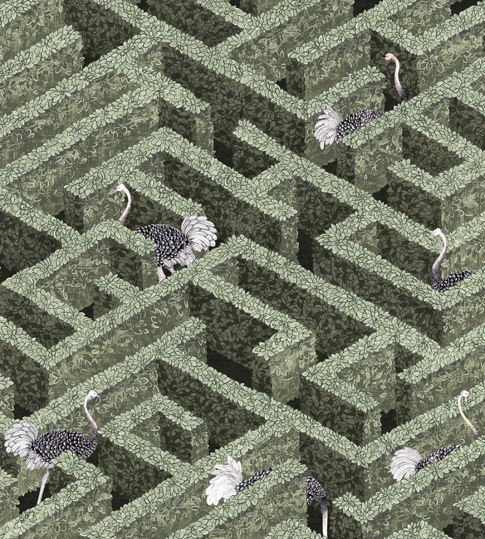 Labyrinth With Ostriches Wallpaper by Josephine Munsey Eucalyptus