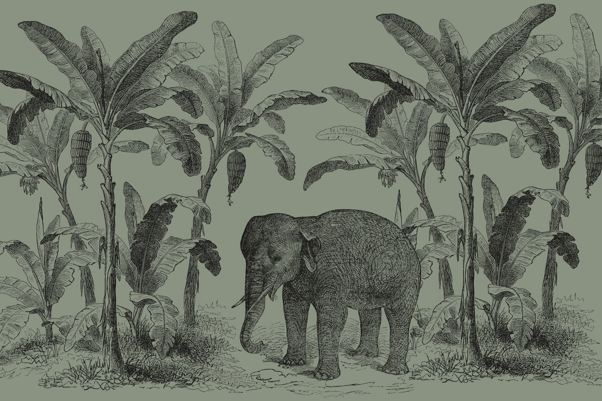Loxodonta Green mural by Hovia