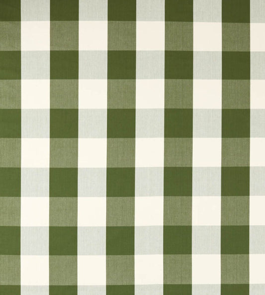 Madras Check Fabric by Sanderson Avocado