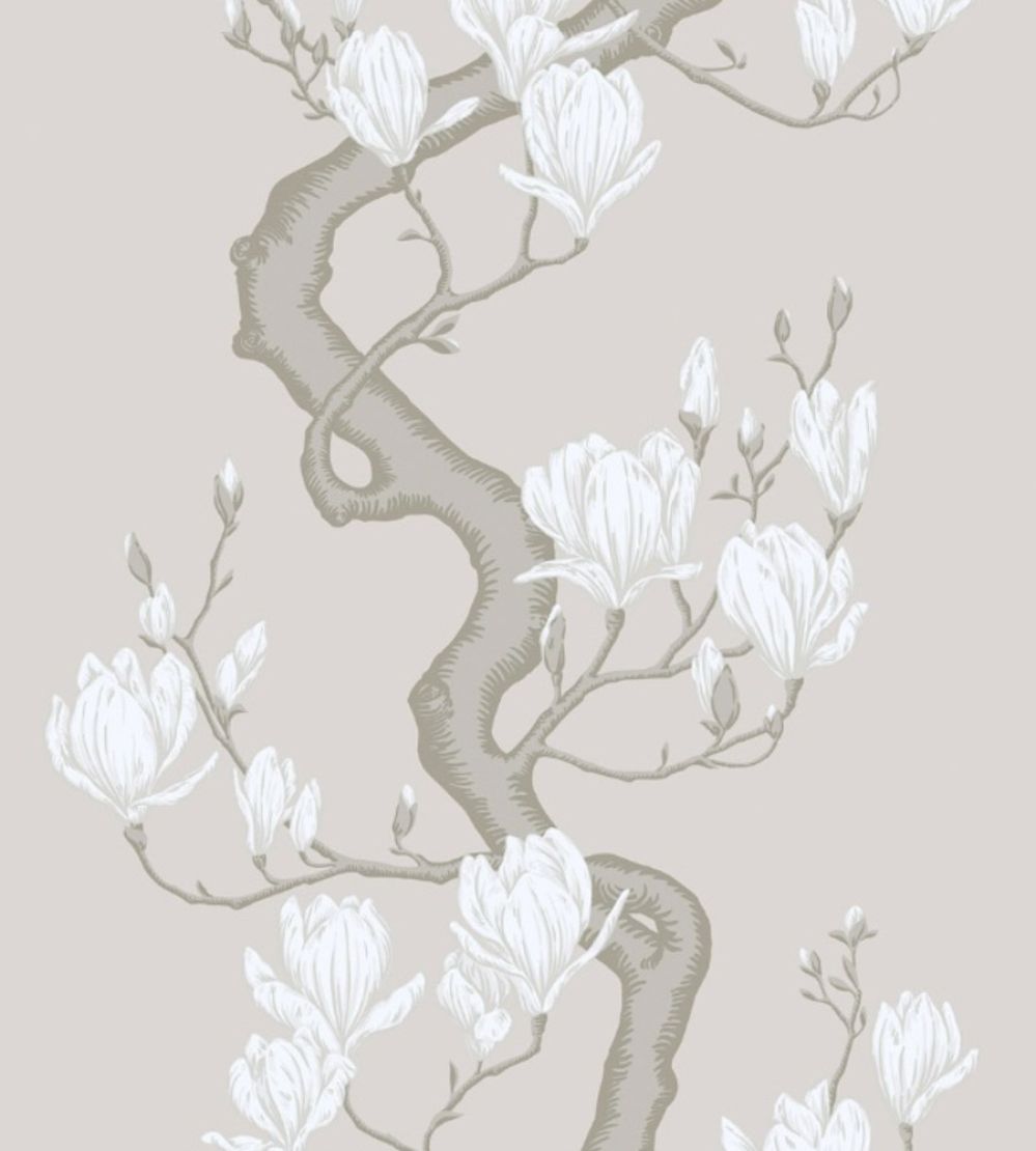 Magnolia Tree - Non Slub Silk Wallpaper by Cole & Son Soft Cream & Powder