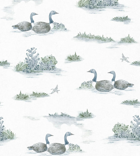 Mallard Duck Wallpaper by Coordonne Aqua