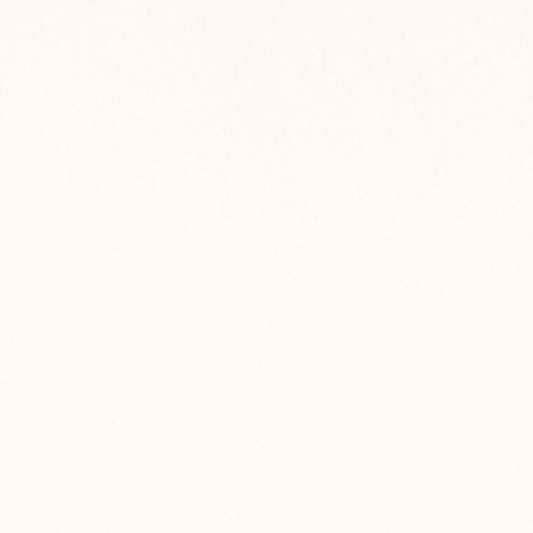 Mirasol Velvet Fabric by Thibaut in Ivory (W81734)