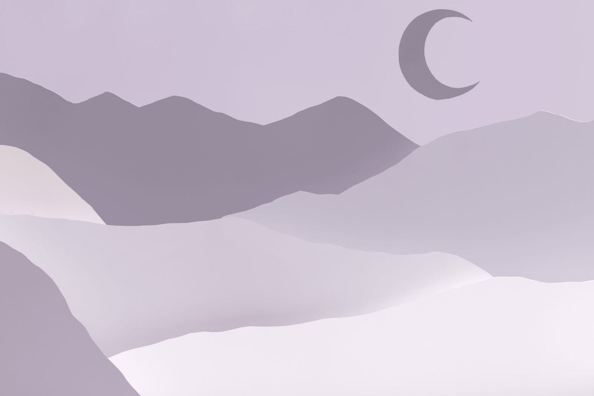 Moonlight Purple mural by Hovia
