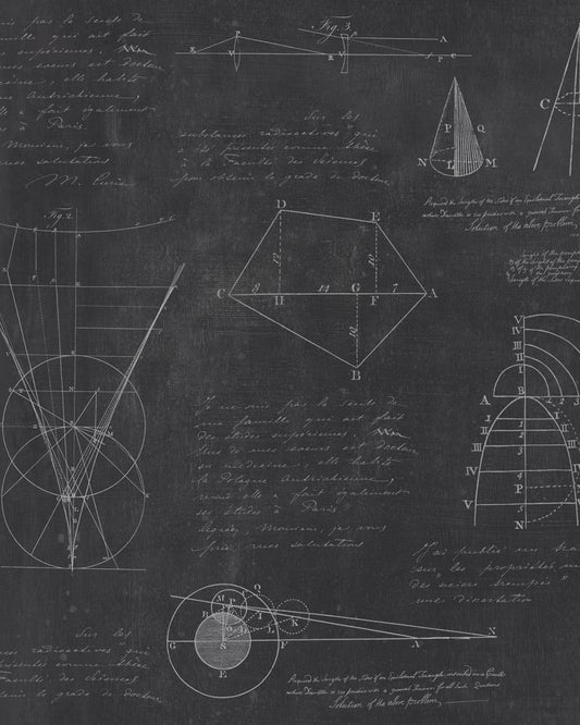 Newton Geometry White, Charcoal Black wallpaper by MINDTHEGAP