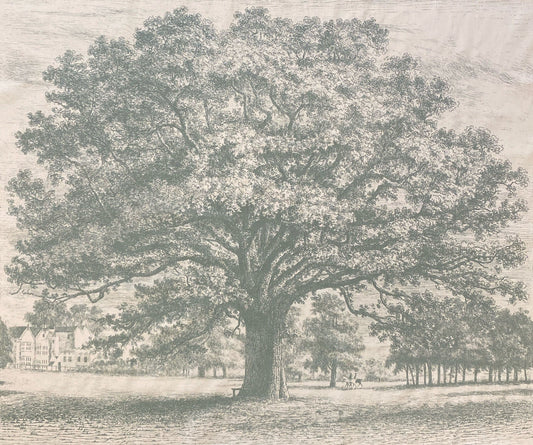 Oak Tree Fabric by Nile & York in Green