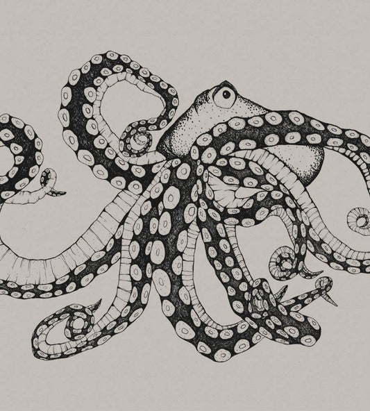Octopus X-Ray Mural by Coordonne Ink