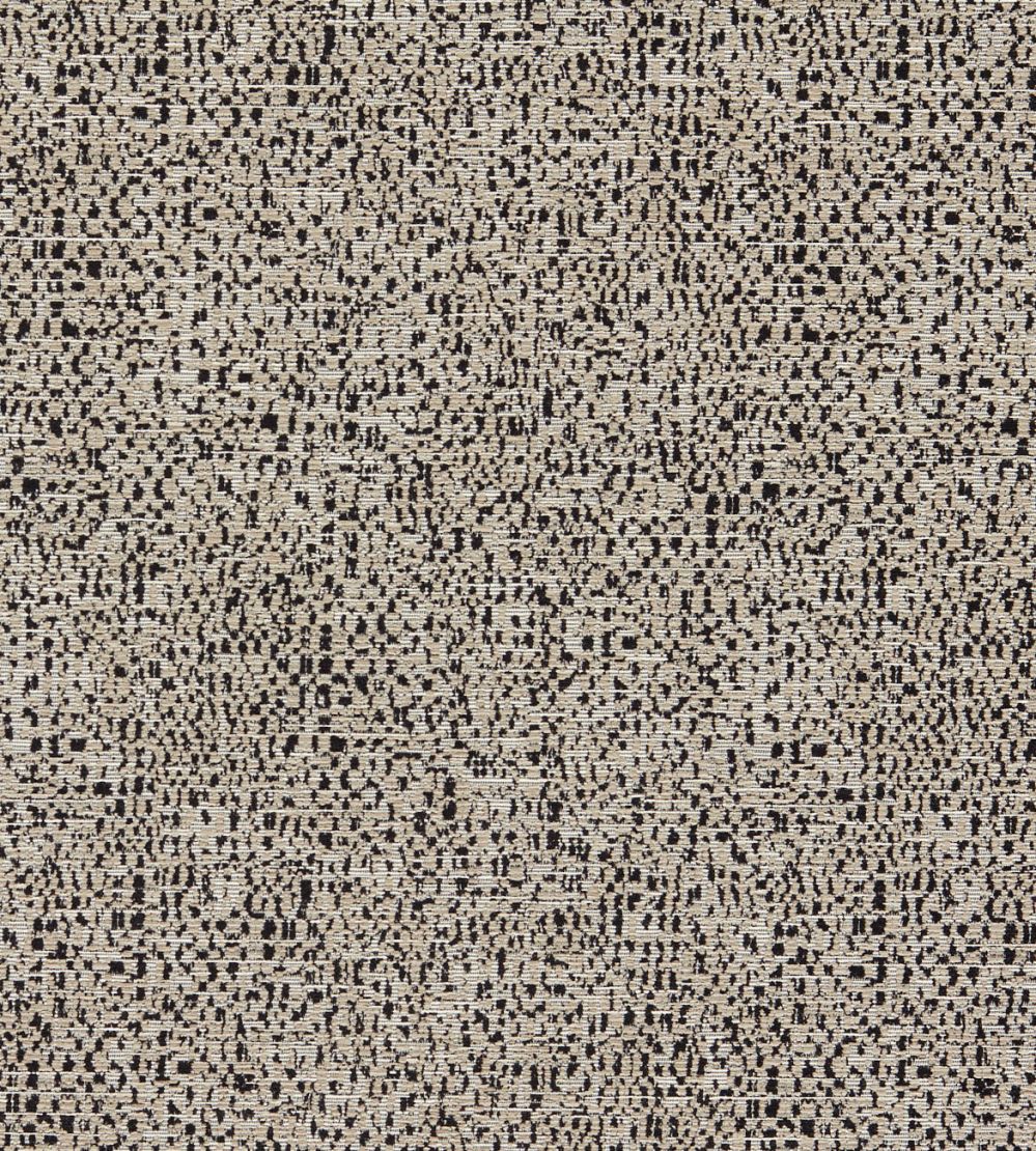 Orion Fabric by Clarke & Clarke Noir