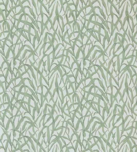 Ornamental Grasses Wallpaper by 1838 Wallcoverings Sage