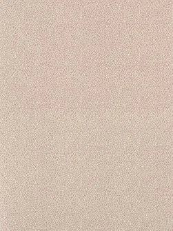 Plumettes Wallpaper by Le Manach in Rose (LP108002)
