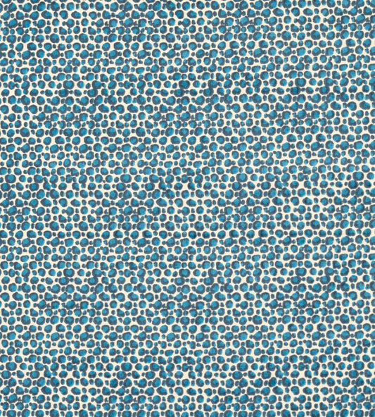 Pokot Fabric by Clarke & Clarke Caribbean