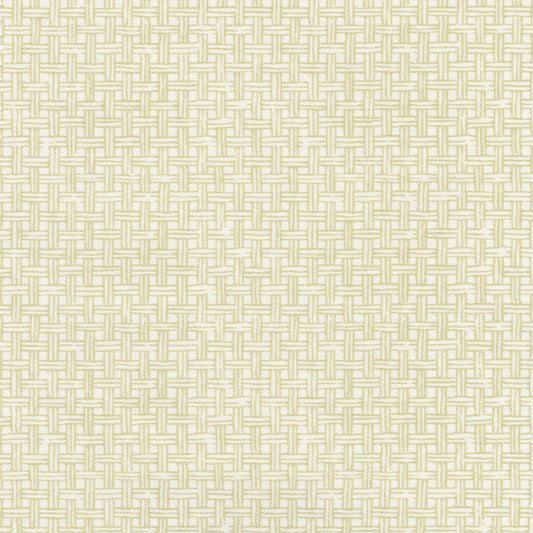 Raffles Fabric by Nile & York in Green