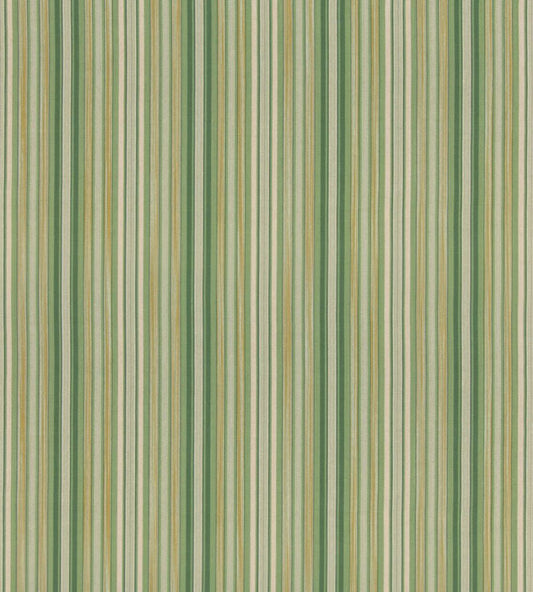 Rainstorm Fabric by GP & J Baker Green