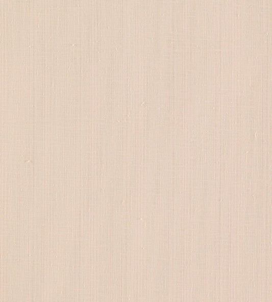 Remo Fabric by Clarke & Clarke Blush