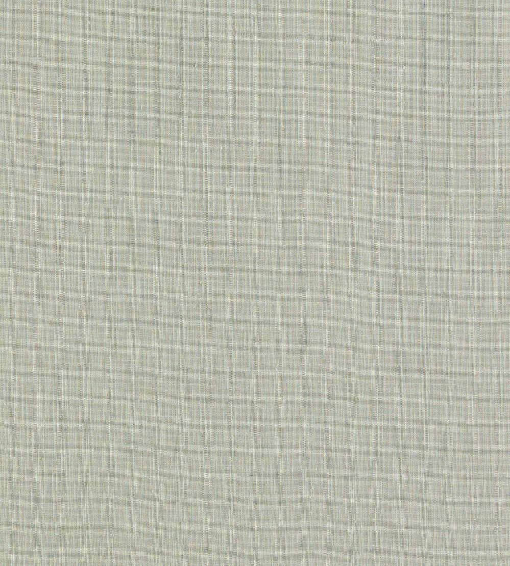 Remo Fabric by Clarke & Clarke Smoke