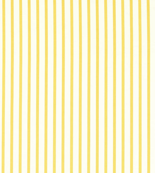 Ribbon Stripe Fabric by Harlequin Citrine