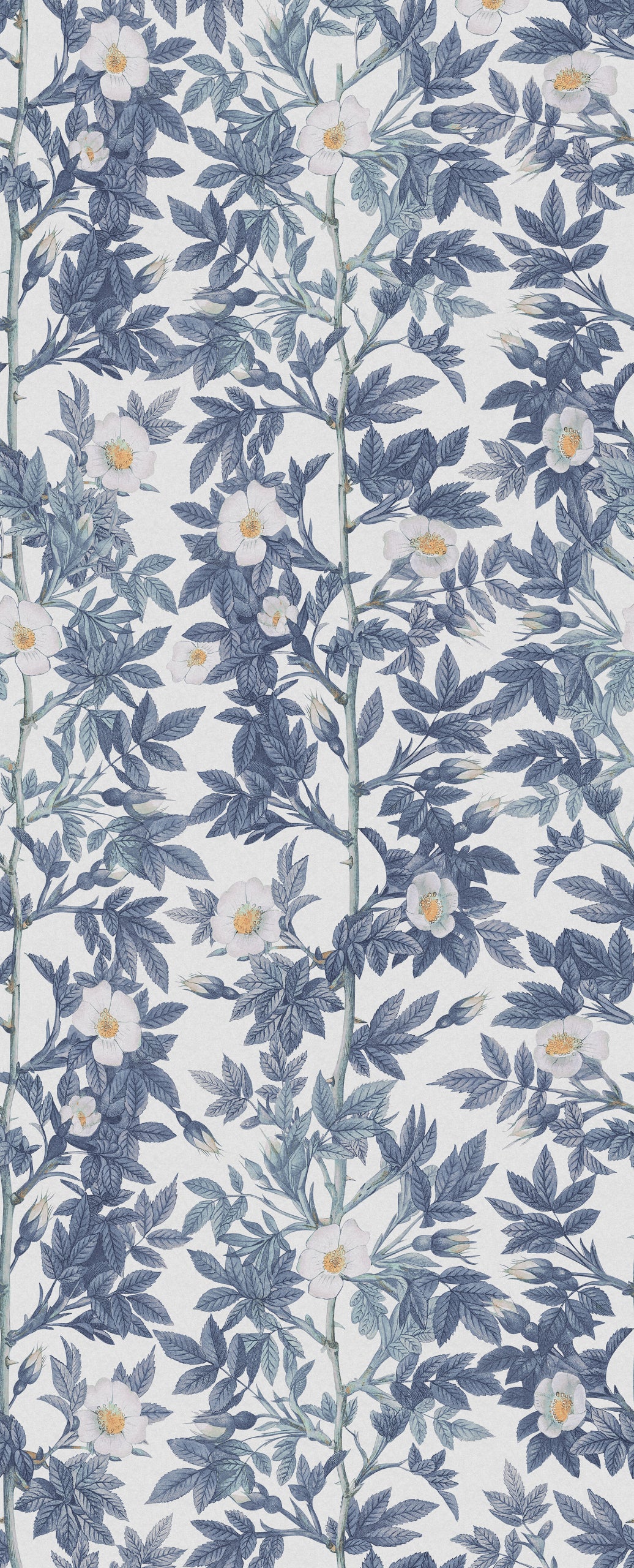 Rose Hip Blue mural by Rebel Walls