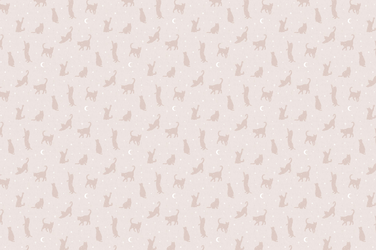 Salem Pink mural by Hovia
