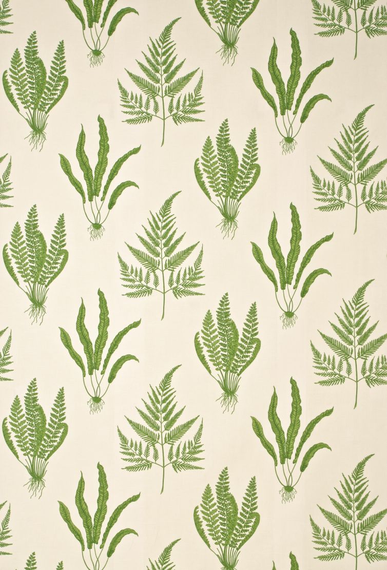 Woodland Ferns Fabric by Sanderson Green